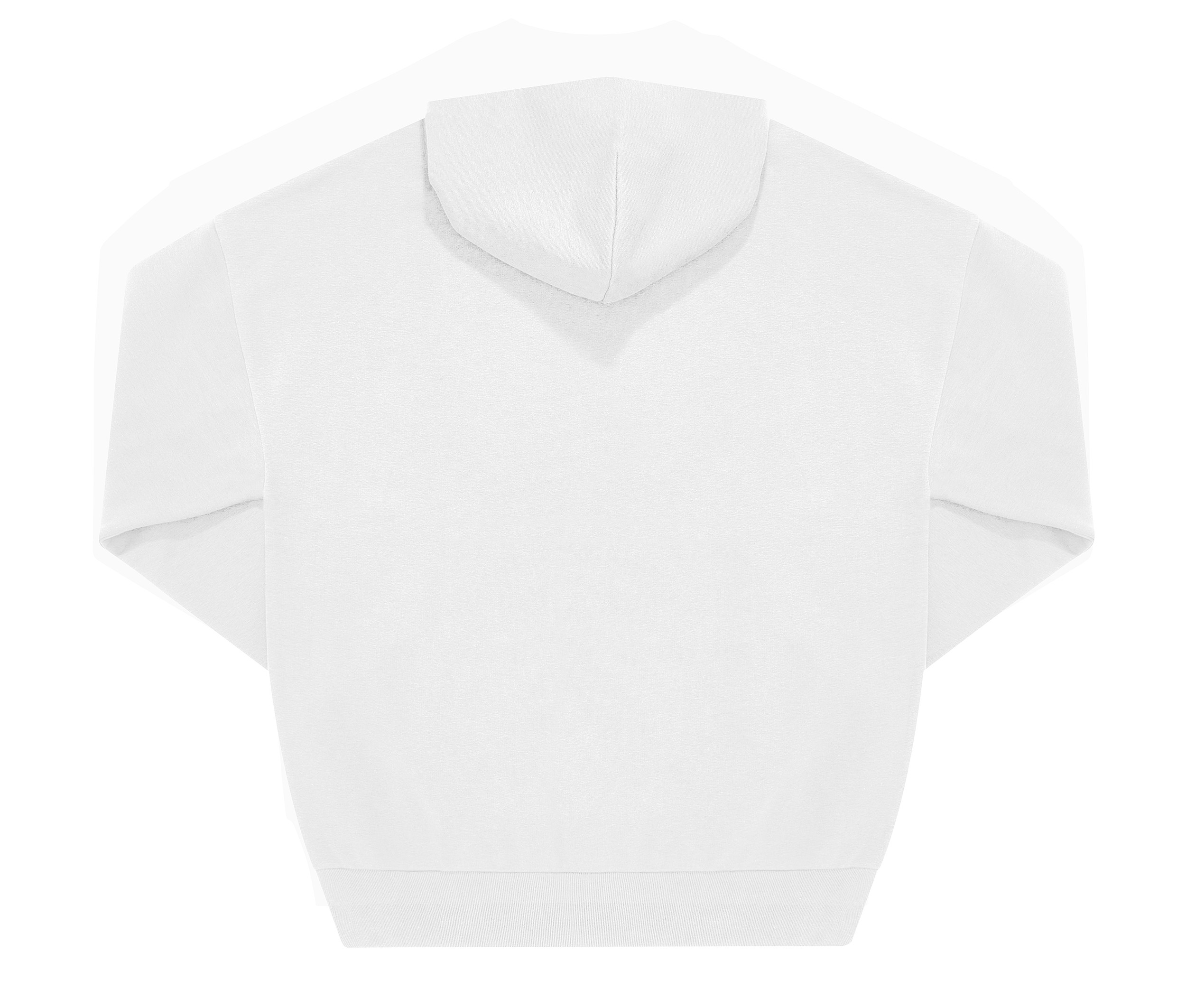 BC514_00_back INFLUENCE HOODIE – Image 1