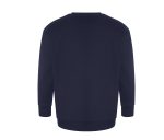 CRATER RECYCLED SWEATSHIRT