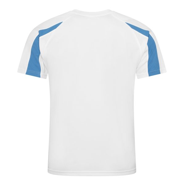 Arctic white sapphire blue