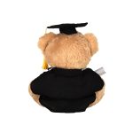 GRADUATION BEAR