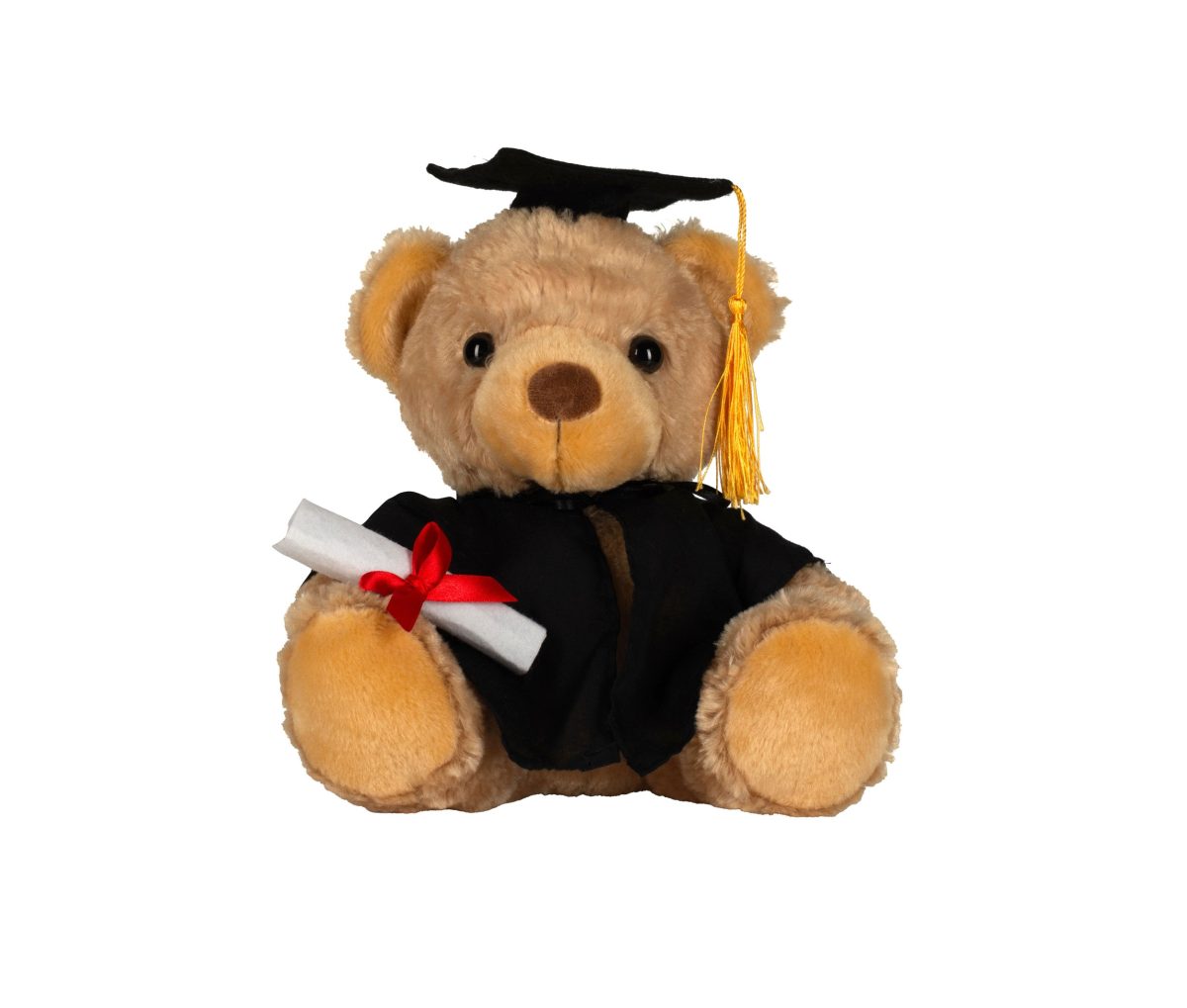 GRADUATION BEAR – Image 2