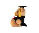 GRADUATION BEAR – Image 3