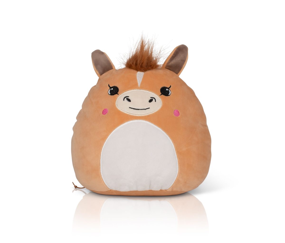 SQUIDGY PONY – Image 2